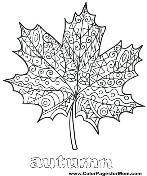 Maple leaf coloring page from maples category. Palm Leaf Coloring Page at GetColorings.com | Free ...