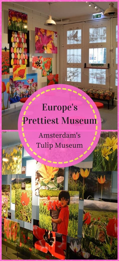 Today, amsterdam is known as a cultural heart of europe, home to a variety of art museums and cultural institutions. Step inside Europe's prettiest little museum! The ...