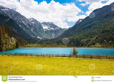 Mountain Lake And Flower Meadow Stock Image Image Of