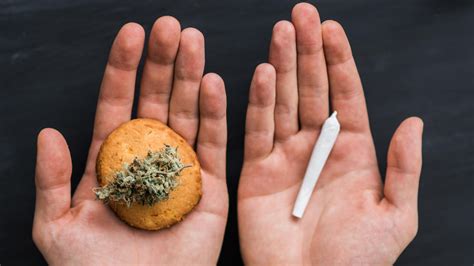 Users tend to feel high for 2 to 4 hours. (2021) ᐉ How Long Does A Marijuana High Last? ᐉ FREE CBD Pen