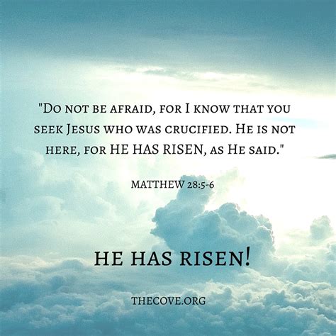 There you will see him.' Our Savior Has Risen! Happy Easter from The Cove - Billy ...