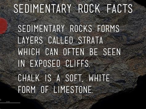 Sedimentary Rock Facts Cool Kid Facts