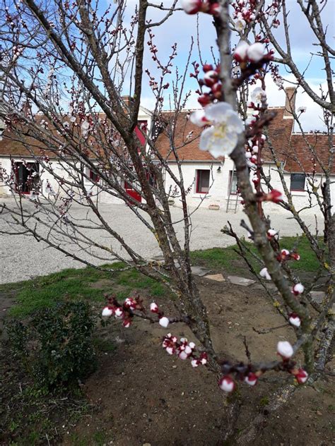 Tripadvisor'da gites insolites de sologne yakınlarındaki restoranlar: Location Gîte n°G1196 à Le Controis-en-sologne - Contres ...