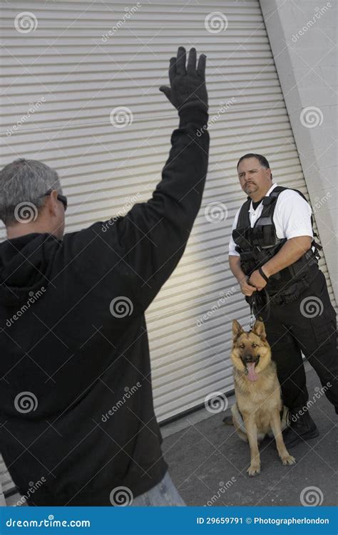 security guard looking at caught thief stock image image of person protect 29659791