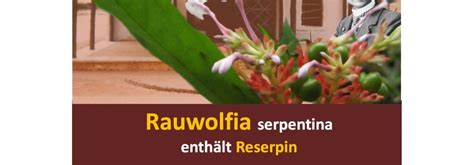 Arabisch deutsch englisch spanisch französisch hebräisch italienisch japanisch niederländisch. Innere Unruhe und Bluthochdruck - gute Wirkung von ...