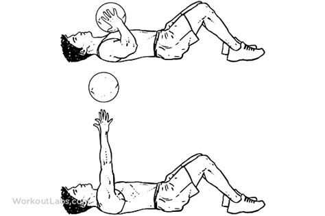 Medicine Ball Floor Press Laying Chest Passes Workoutlabs