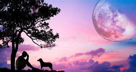 A desktop wallpaper is highly customizable, and you can give yours a personal touch by adding your images (including your photos from a camera) or download beautiful pictures from the internet. Sad Moon Wallpaper : Little Girl Sad Window Teddybear ...