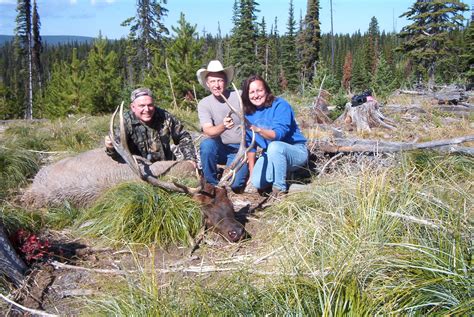 47 can you camp anywhere in ohio. Idaho Elk Hunting - Guided Camp & Lodge Hunts | Silver ...
