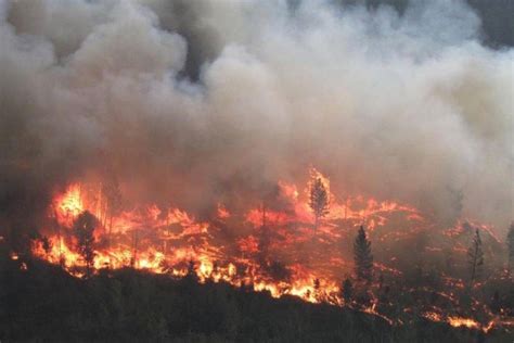 The fire is estimated at 5,000 hectares (12,360 square acres or 19.31 square miles). B.C. hits 1,003 wildfires in 2017 - North Delta Reporter