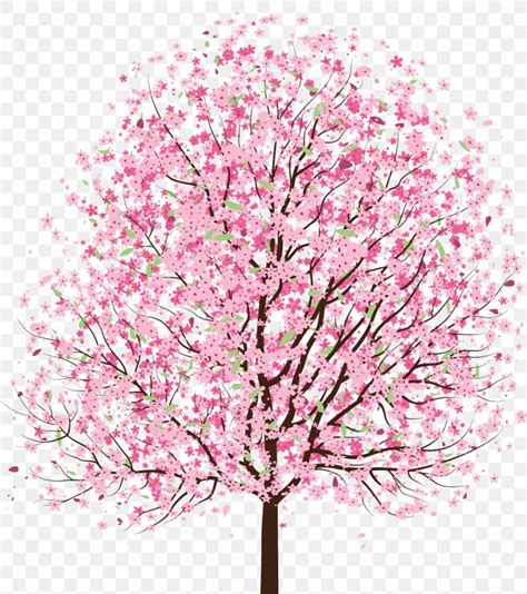 Cherry Blossom Tree Clip Art Png 947x1068px Blossom Almond Branch