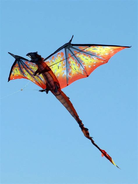 Sticked 3D Kites A Magnificent Dragon Kite Photographed At The 81st