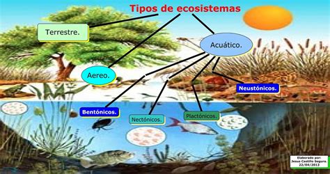 LOS ECOSISTEMAS Página web de eduquemosparaelfuturo