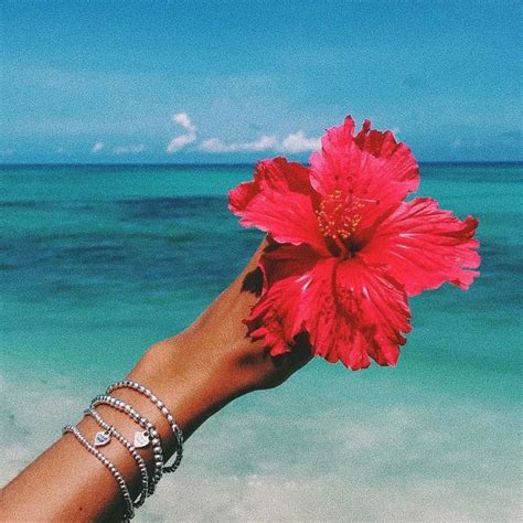 Pin By Viola On Inspo Summer Pictures Beach Aesthetic Summer Aesthetic