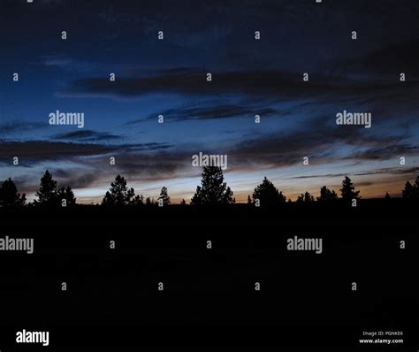 Night Forest Treeline Hi Res Stock Photography And Images Alamy