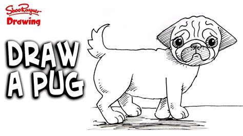 How To Draw A Pug Easy Step By Step For Beginners