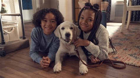 Watch Goldie Puppy Place Season 1 Episode 1 Apple Tv