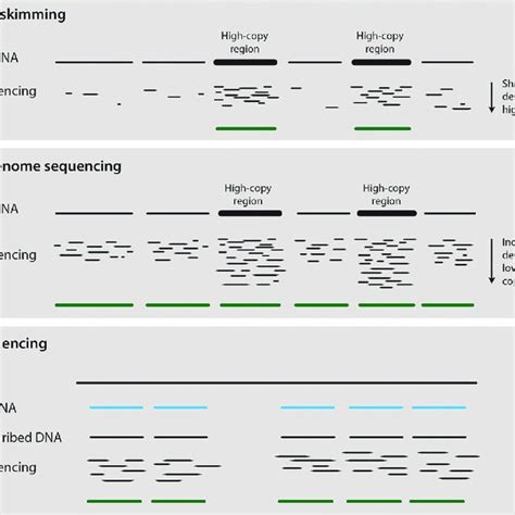 Comparison Of Sanger Sequencing Left And Illumina Next Generation