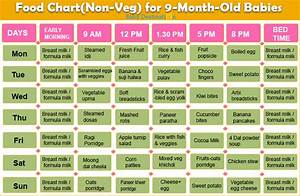 9 Month Baby Food Chart Feeding Schedule For Baby 9 Month Old Gambaran
