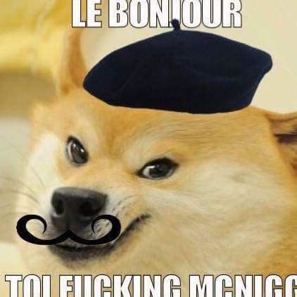 Doge is our fun, friendly mascot! French Doge | Doge Wiki | Fandom