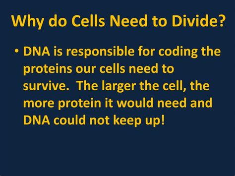Animal cells come in various sizes and tend to have round or irregular shapes. PPT - Cell Division—Mitosis Notes PowerPoint Presentation ...