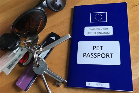 Pet Travel? Find Out about the Pet Travel Scheme in the UK and how to