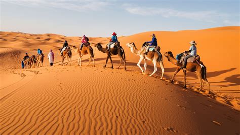 15 Sorprentes Curiosidades Sobre El Desierto Del Sáhara