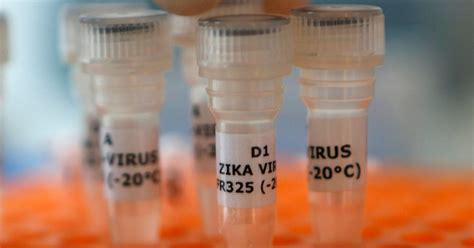 Zika Virus Spreads To Texas Through Sex Health Officials Time