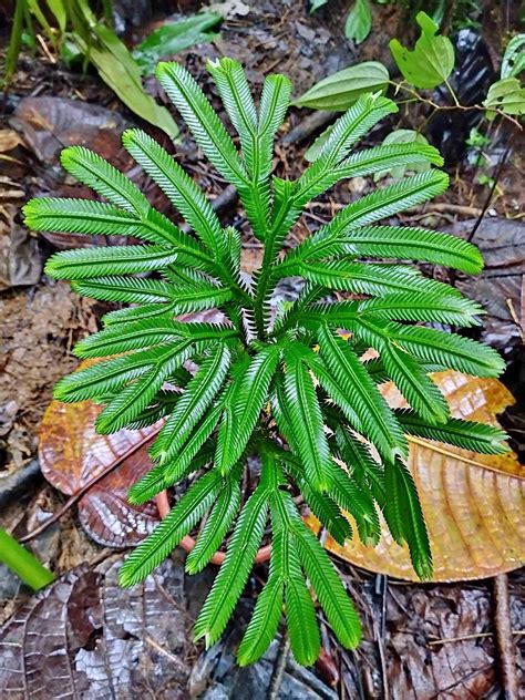 Buy and Sell in Cebu City | Facebook Marketplace