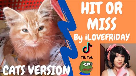 Cats Sing Hit Or Miss Tiktok Meme Parody Youtube