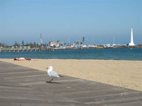 Beste strandhotels in melbourne bei tripadvisor: Australien-Reisebericht: "Melbourne und South Victoria"