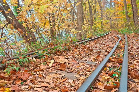 Abandoned Autumn Railroad By Somadjinn On Deviantart