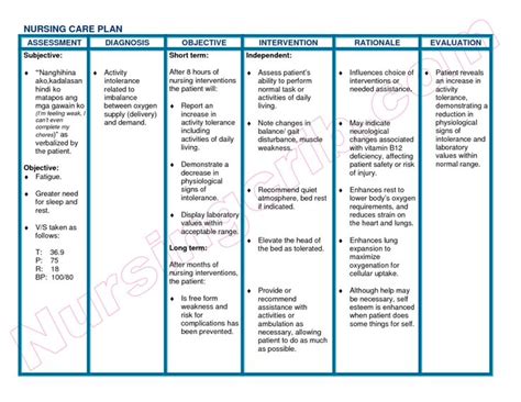 Care Plan Template Check More At
