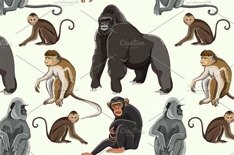 Different Types Of Monkeys Pattern Types Of Monkeys Monkey Types