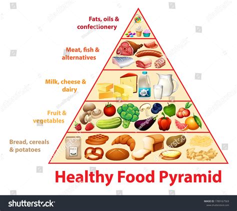 Food Pyramid Worksheet Cut And Paste Teacher Made Vlr Eng Br