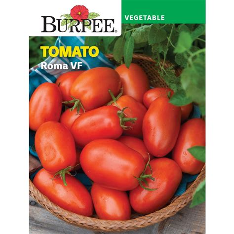 Burpee Roma Vf Tomato Vegetable Seed 1 Pack