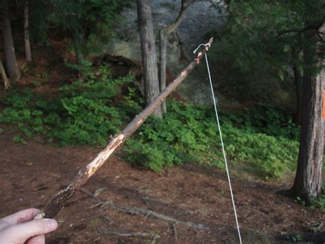 Apply the influence of the weather: How To Make Fishing Rods In The Wild - SurvivalKit.com