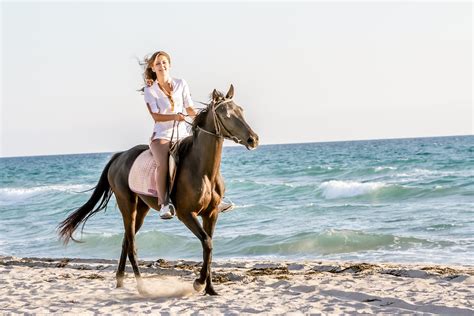 Horse Riding On The Beach In Side