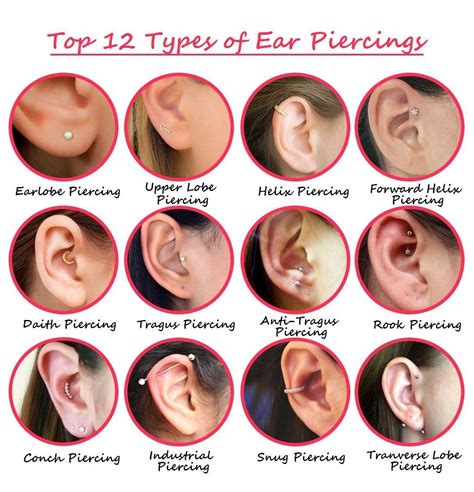 Ear Piercings Chart Ear Peircings Types Of Ear Piercings Pretty Ear