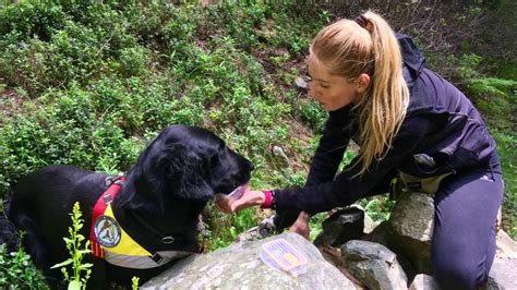 I corsi di addestramento per cani gestiti da bravi professionisti possono aiutarti a migliorare il tuo l'addestramento in realtà è per te, non per il cane. Addestramento cani per la ricerca di persone disperse in ...