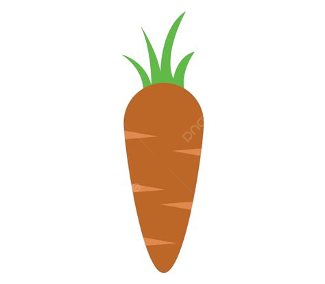 Carrot Icon Object Non Gmo Food Vector Object Non Gmo Food PNG And