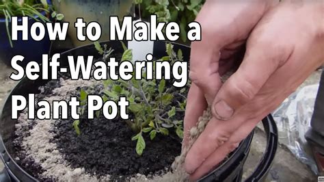 How Can I Water My Plants Without Drainage Holes - how can i water my plants without drainage holes