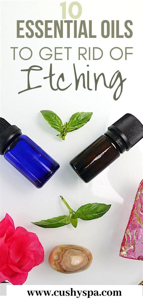 10 Essential Oils For Itching According To Science And More Essential
