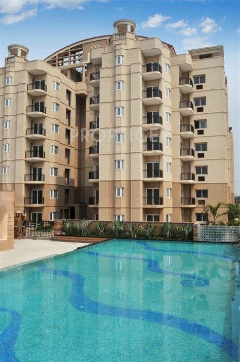 1800 Sq Ft 3 Bhk 3t Apartment For Sale In Ats Green Golf Meadows