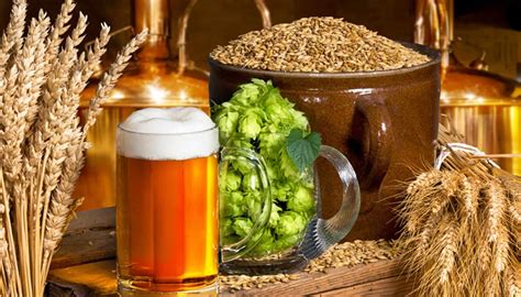 What Is Beer Made Of The Ingredients And Brewing Process