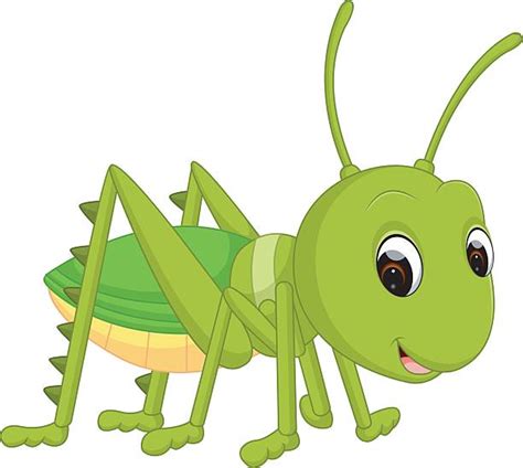 Cricket bat cricket ball, swordfish, sport, wicket, ball png. Cricket Insect Clipart | Free download on ClipArtMag
