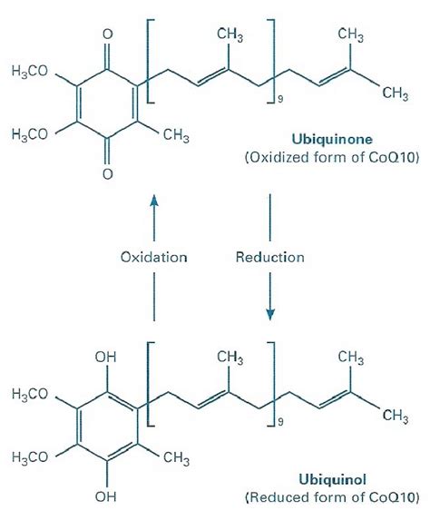 Coenzyme q10 plays a central role in mitochondrial oxidative phosphorylation and the production of adenosine triphosphate (atp). Chemical structure of Coenzyme Q 10 , in its two redox ...