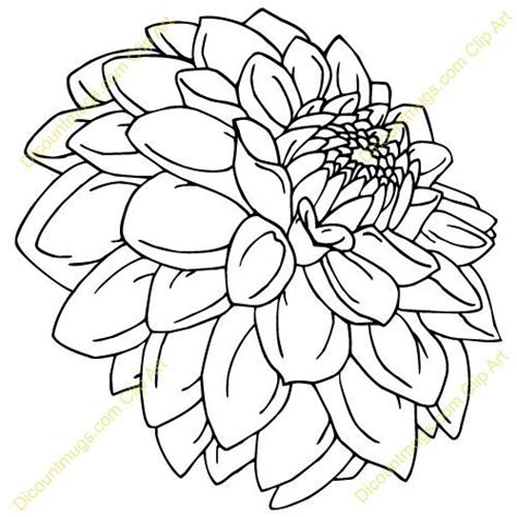 Petals will turn around and grow. Dahlia line drawing | Digi Stamps | Pinterest | Flower ...