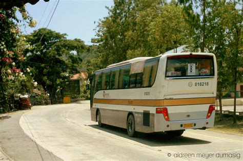 Genesis Transport Service Genesis Golden Dragon Bus No 81 Flickr