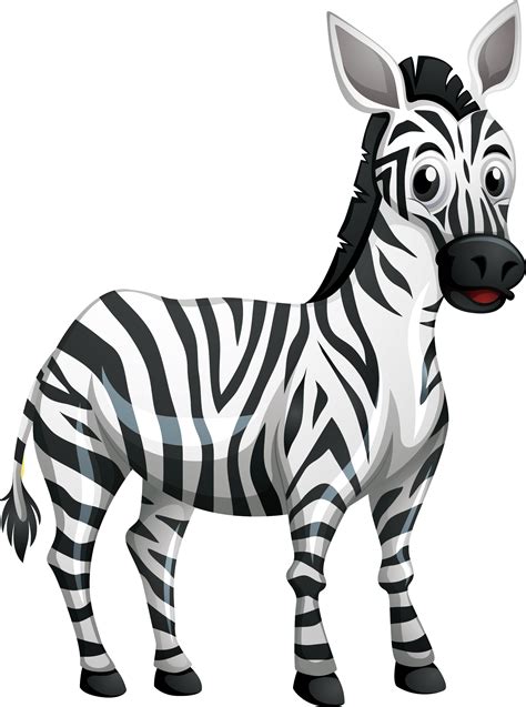 Zebra Clipart Png