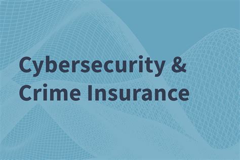 Cybersecurity And Crime Insurance In The Alternatives Industry
